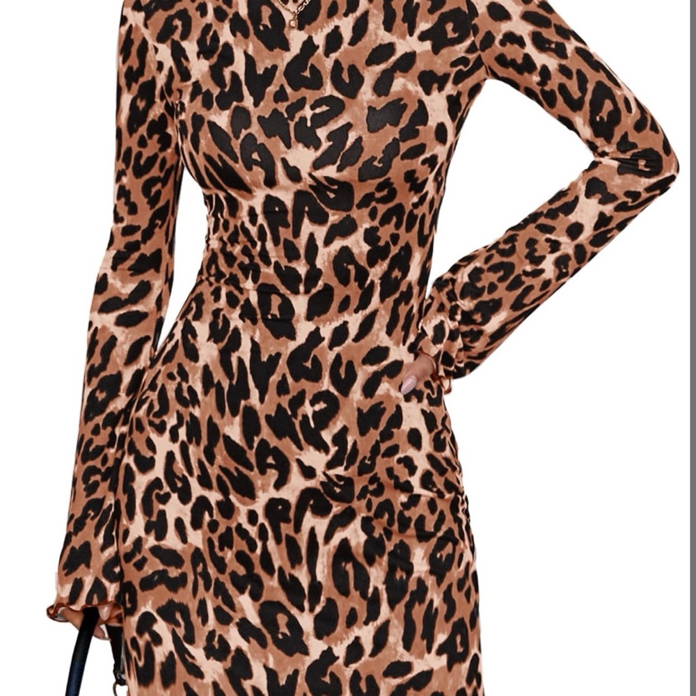 Leopard Print Long Sleeve Dress